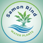 gemini generated image 3y1md83y1md83y1m